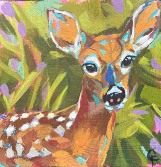 Spring Fawn